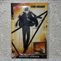 WIND BREAKERアクリルスタンド（桜遥）