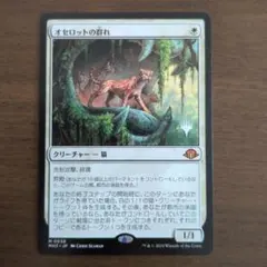 MTG マジックザギャザリング 大鎌猫の仔 1枚 - メルカリ