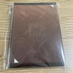 鬼滅の刃　無限城　書き下ろしイラスト　蛇腹ポストカードセット