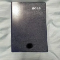 Item thumbnail for item e031de41-467e-4d6e-aa42-83d8a5c91f7a