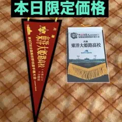 東洋大姫路 公式戦ストッキング2枚セット 即日発送 値下げ可能⭕️ 2026年最新】東洋大姫路の人気アイテム - メルカリ