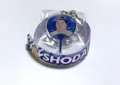 《 正代2点》 大相撲ガチャ