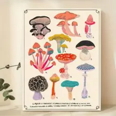 インテリア　ポスター　キノコ　レトロ　北欧　ミッドセンチュリー　モダン　絵　A3