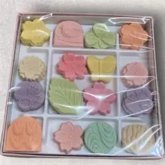 ばいこう堂 和三盆糖 千代箱 春の琴（メジロ）のサムネイル