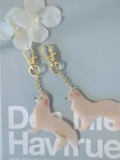 ビシ様　専用ページ