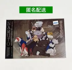 NARUTO カカシ　暗部　ポストカード