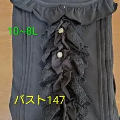 大きいサイズレディース 長袖カットソー 飾りボタン フリル