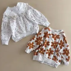 Item thumbnail for item 4b36eafc-42ca-4ca2-bec3-99c789d856f7