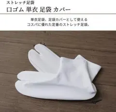 Item thumbnail for item 089ae9c0-2ee3-4c19-9a1f-d6dc3df9f228