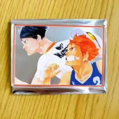 ハイキュー　日向翔陽　影山飛雄　ステータスカード　シークレット