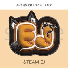 &TEAM EJ ウィジュ ぷっくり ネームボード オーダー 韓国 文字パネルのサムネイル