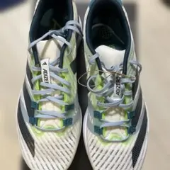 Item thumbnail for item a835c226-e18d-44bf-a8fe-2ed17be71a0a