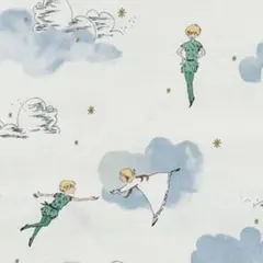 USAマイケルミラーピーターパン&ウェンディクラウド