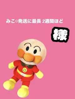 みこ‪︎︎︎︎☺︎発送に最長 2週間ほど様専用