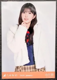 乃木坂46 川﨑桜 ネーブルオレンジ チュウ - メルカリ