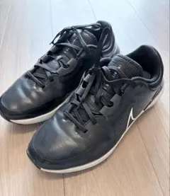 NIKE ナイキ ゴルフ インフィニティ プロ 2