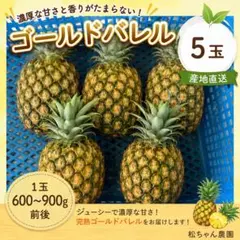 沖縄県産 ゴールドバレル 5玉！甘熟・完熟パイン 産地直送のサムネイル