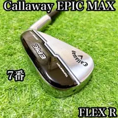 Item thumbnail for item 43938f22-8137-4c5f-81e8-4e479baf66b5