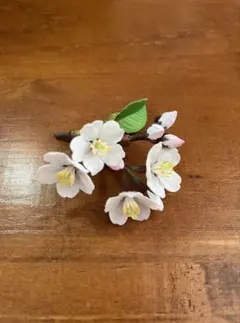 日本のいきもの　Nature of Japan 03 ソメイヨシノのサムネイル