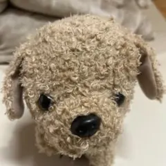 ココさかだちして