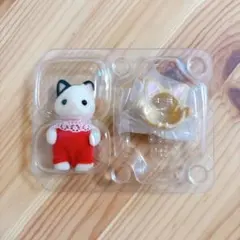 シルバニア キャンプ