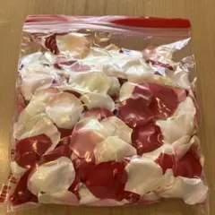 Item thumbnail for item 8fe220e8-f010-45a7-807d-4b19ce9c8802