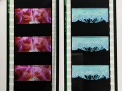 まどマギ ワルプルギスの廻天 フィルム 映画特典　2枚セット ワルプルギスの夜