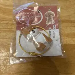 WANKONO タイムカプセル まめ
