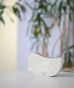 Item thumbnail for item 8ee08c4f-20c7-4643-aa8e-baabb65280ef