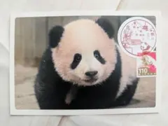 Item thumbnail for item 8c47174e-afc5-46ea-9645-246edd8ef0cb