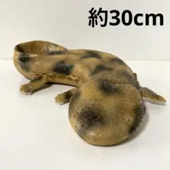 オオサンショウウオ フィギュア 約30cm 大型のサムネイル