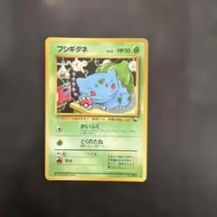 フシギダネ イントロパック