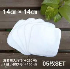 Item thumbnail for item 53e0728d-aee5-4d43-b978-02c7c51535c6