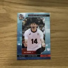 【匿名配送‼️】龍神NIPPON 2015 公式トレカ 石川祐希 生写真カード 全日本男子バレーオフィシャルカード2015 「龍神NIPPON」 レギュラー
