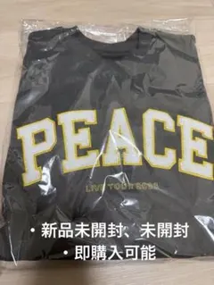king&princeピーストレーナー