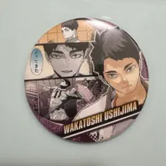 ハイキュー 牛島若利 コレクション缶バッジ メモリーズ