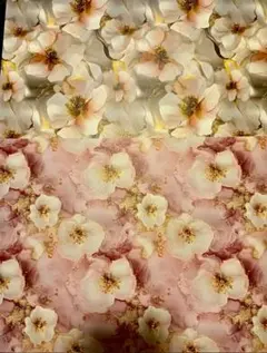 Item thumbnail for item bca8ad7d-4c1a-4729-97c6-fa55f1288fbf