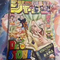 ドクターストーン 週刊少年ジャンプ2019年48号 - メルカリ