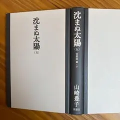沈まぬ太陽 5(会長室篇 下)