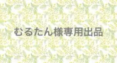 ㉖むるたん様専用出品
