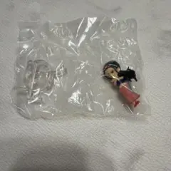 ワンピの実　ニコ ロビン　未開封