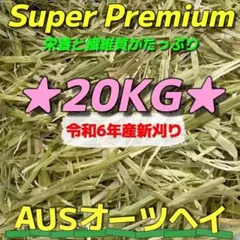 Item thumbnail for item ae396b7f-2180-4ac7-a836-2a1377d10371