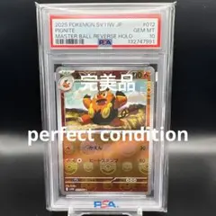 2026年最新】ブラッキー マスターボール psa9の人気アイテム - メルカリ