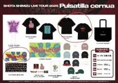 Pulsatilla cernua 清水翔太 直筆サイン入りタオル Pulsatilla cernua 清水翔太 直筆サイン入りタオル 清水翔太