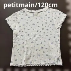 プティマイン　半袖　花柄　120センチ　半袖シャツ Ｔシャツ