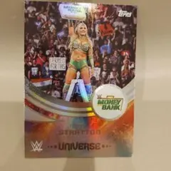 Item thumbnail for item d11e3518-54d6-40fd-a7af-b8c8ea538914