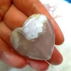 レオレオ様 リクエスト 2点 まとめ商品