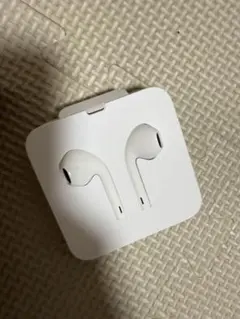 Apple EarPods Lightningコネクタ 本体