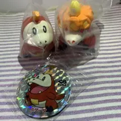 ポケモン　ホゲータ　アチゲータ　ポケモンキッズ　スケールワールド　マグネット