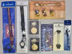 まとめ ディズニー　ペットボトルホルダー ストラップ 記念メダル キーホルダー